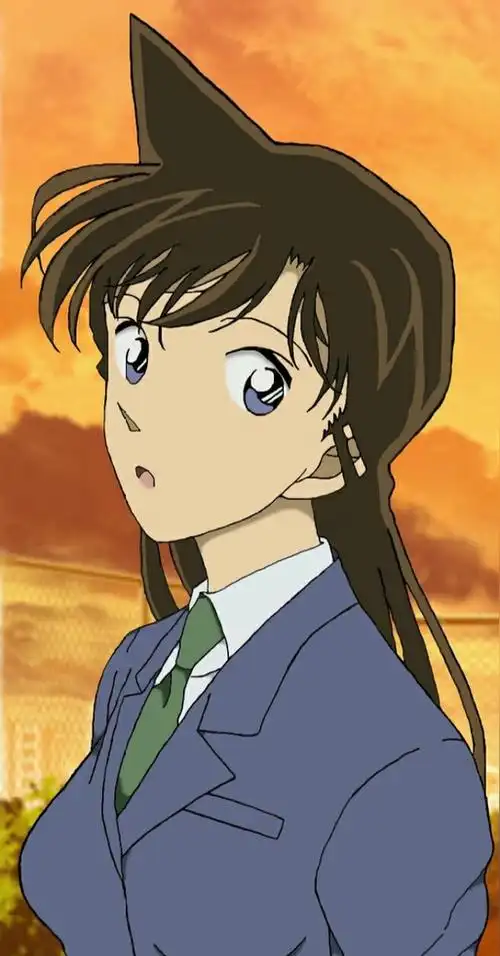 毛利兰(《名侦探柯南》女主角)_石塘网