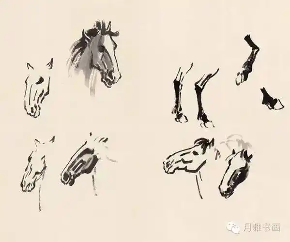徐悲鸿国画马画法步骤!