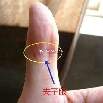 大老板的手相算命;大拇指有"夫子眼"大拇指关节处有如眼睛一样的圆圈