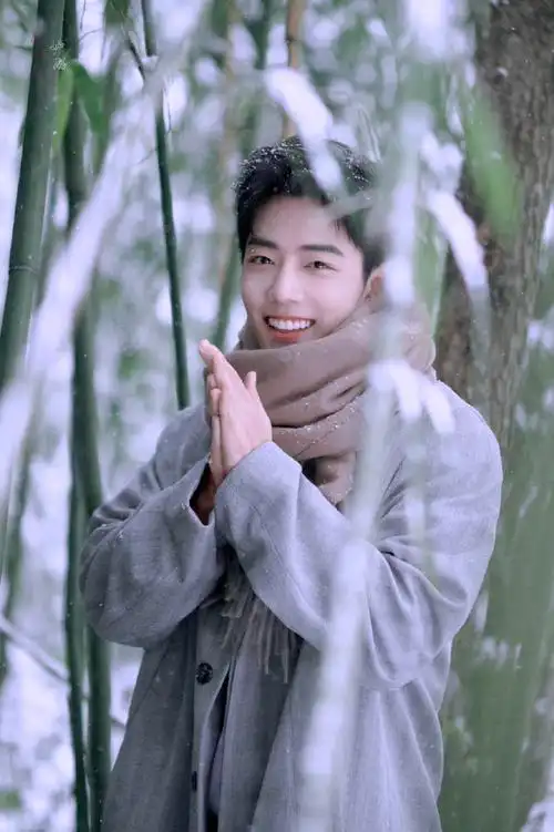 肖战##肖战冬至竹林大片