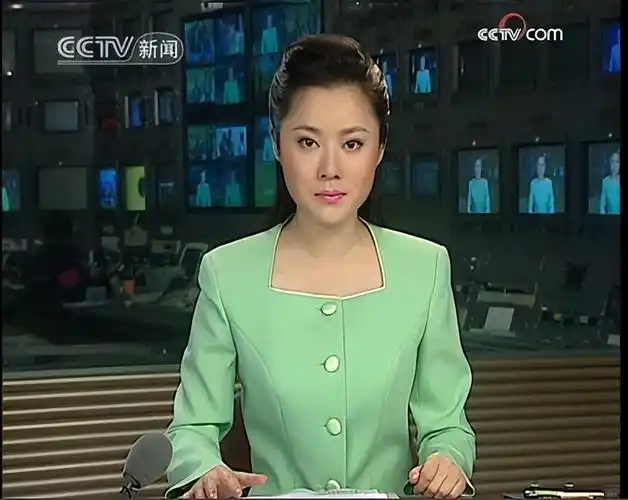 回顾央视美女主播紫凝贷款买车41岁仍未婚风光背后有泪水