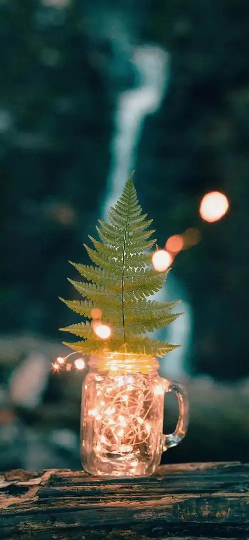 有哪些有意境又小众的生日文案? - 知乎