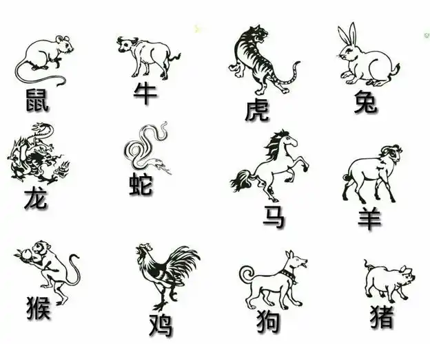 q4:历年十二生肖五行表