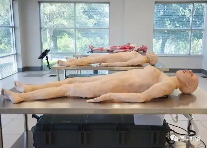 院笊辖馄士尉谷灰谜庋氖