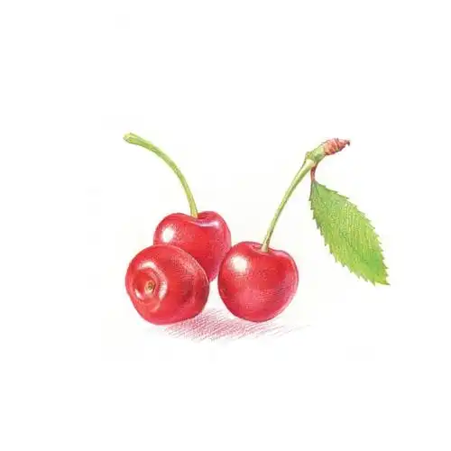 彩铅水果# 樱桃