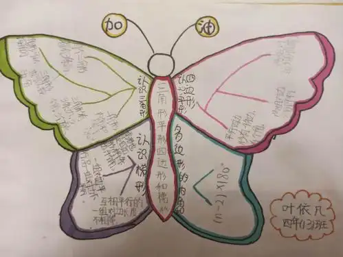 数学思维导图——画出美美的数学世界
