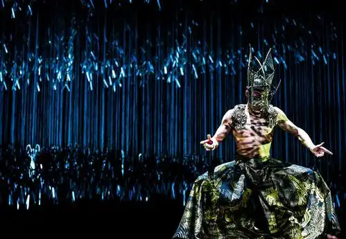 国家艺术基金传播交流推广资助项目杨丽萍作品舞蹈剧场十面埋伏