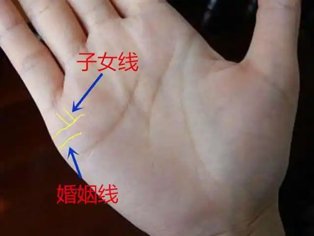 子女线位置图解