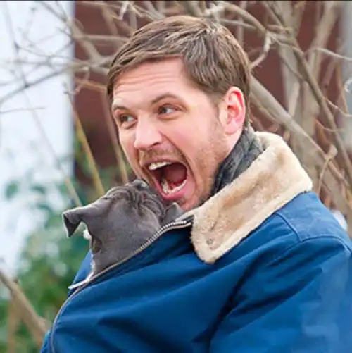 tomhardy汤姆哈迪汤甜