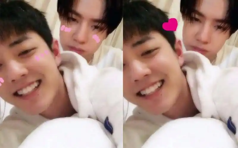 【博君一肖】【王一博 x 肖战】震惊!当红男艺人的日常竟是这般摸样!