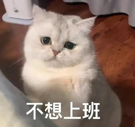 表情包##沙雕表情包