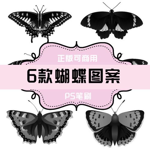 b201 ps笔刷 蝴蝶图案6款