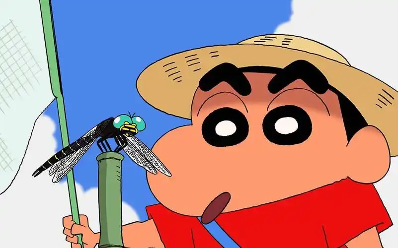 枣庄峄城家教列表