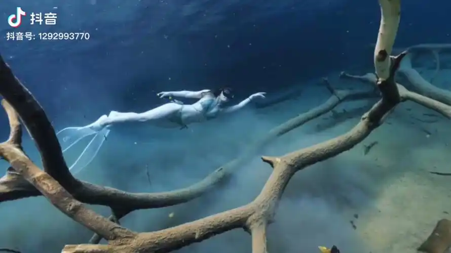 自由潜水比基尼水下摄影底裤