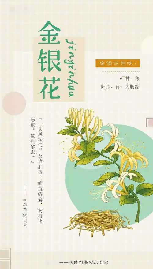 金银花名字由来及功效