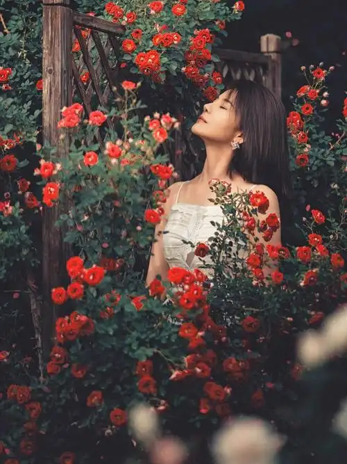 复古油画风唯美写真"初夏的蔷薇花" :李梓源 侯玉森艺术写真 人像摄影