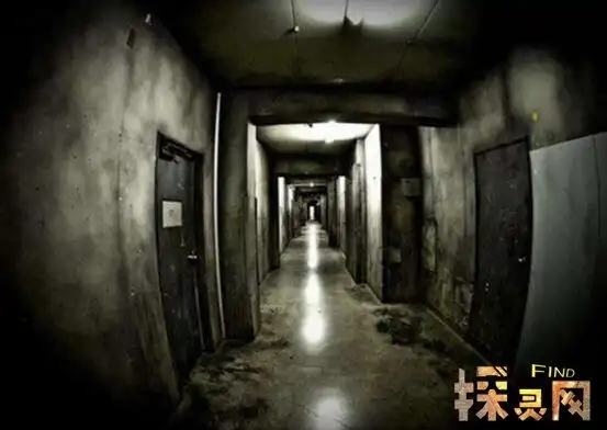 盘点震惊全球十大灵异事件,疑似冤死灵魂前来索命(厉鬼) — 探灵网