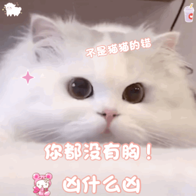 猫猫 可爱 表情包