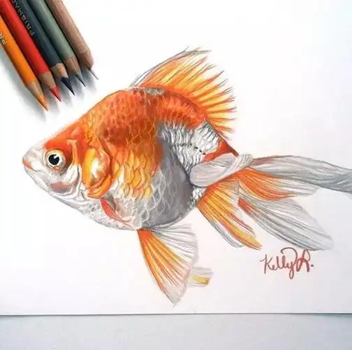 这么高质量的彩铅画不收藏就亏大了