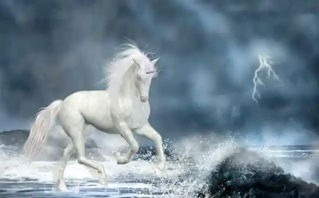 神仙大都腾云驾雾,为何玉帝还让孙悟空养马呢?