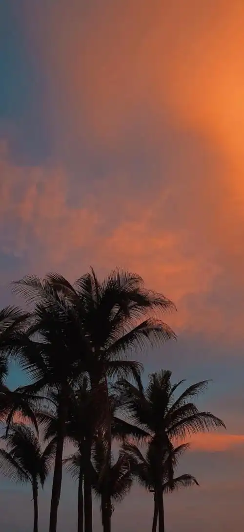 小红书 - 堆糖,美图壁纸兴趣社区