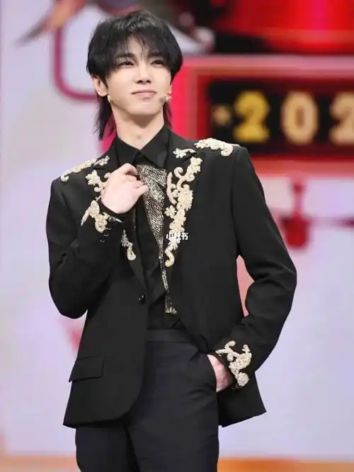 华晨宇个人资料介绍(带你了解"大男孩"华晨宇的放荡不羁) 第42张