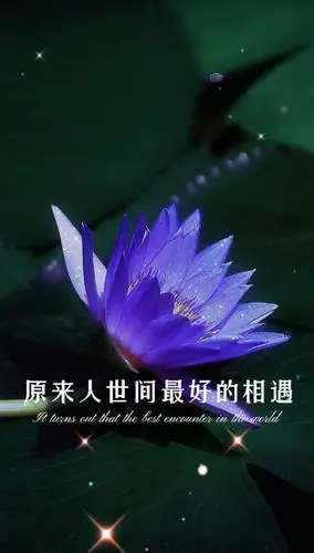 原来人世间最好的相遇不是在路上,而是在心上.