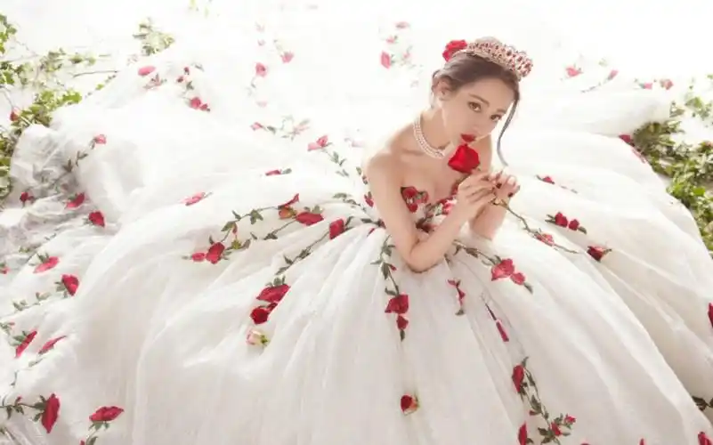 迪丽热巴玫瑰庄园走出来的公主殿下今夜星光为你加冕