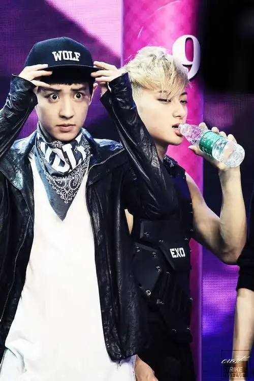 exo朴灿烈黄子韬 20130604快乐大本营