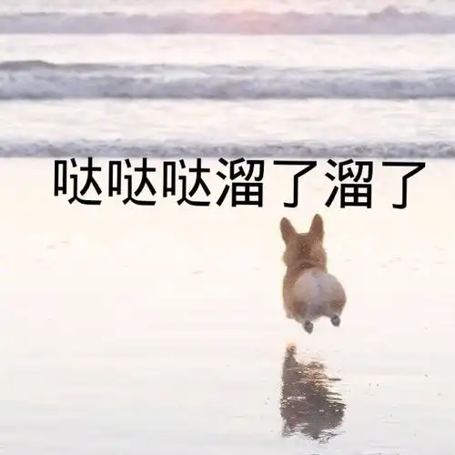 萌宠汪星人溜了溜了我先走了活泼可爱gif动图_动态图_表情包下载_soo