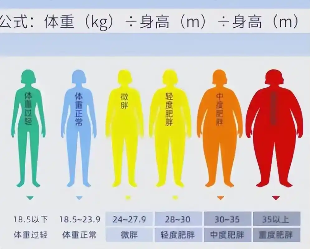 "黄金体重"不是120斤,快看这个理想数值,越接近越能享健康