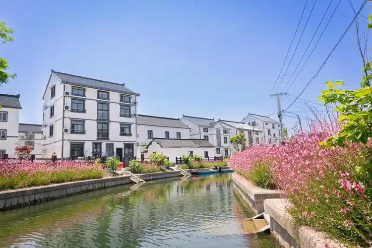 中建八局承建的上海市青浦区重固镇新丰村乡村振兴示范村建设项目交付