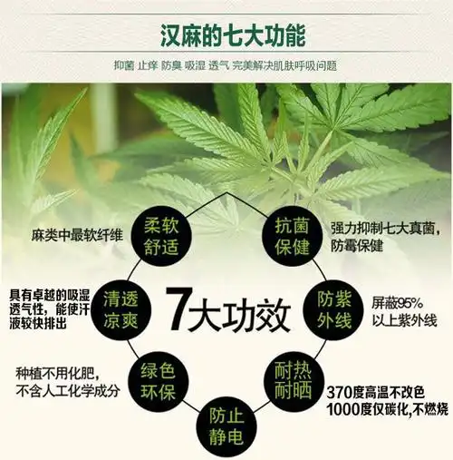 工业大麻叫汉麻或火麻几千年前中国首种 一直是用于