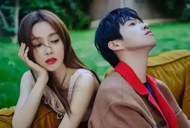 秦岚的追求:事业巅峰与爱情的纷扰