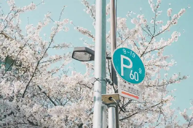 一组超美的微信背景图壁纸