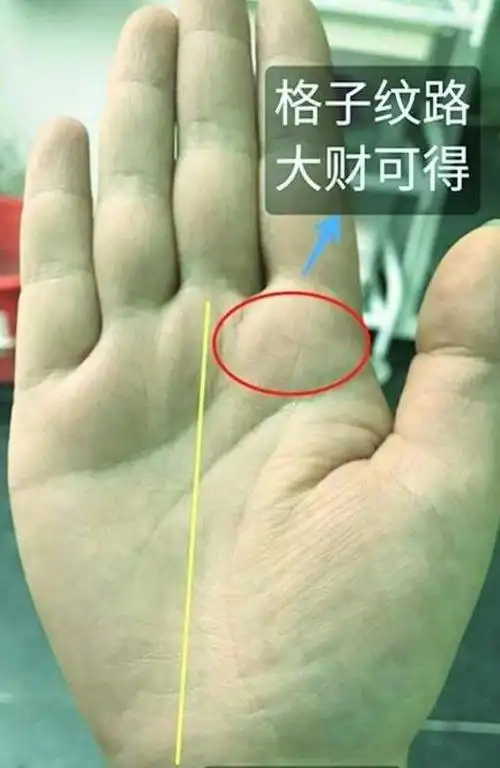 手相中的九大财富纹主要是提示你发大财的信息