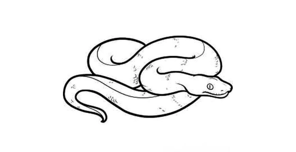 美女救了一条小蛇,五年后小蛇变成巨蟒来报恩,美女差点被吓死