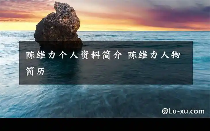 陈维力个人资料简介 陈维力人物简历文章配图