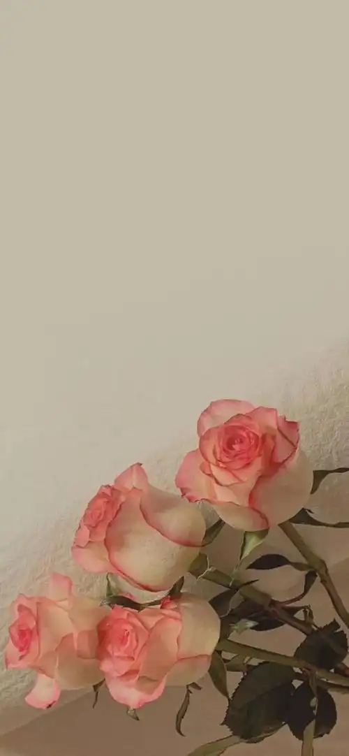 高清壁纸ins风 清新,ins复古欧美风壁纸高清,欧美风景壁纸 ins复古