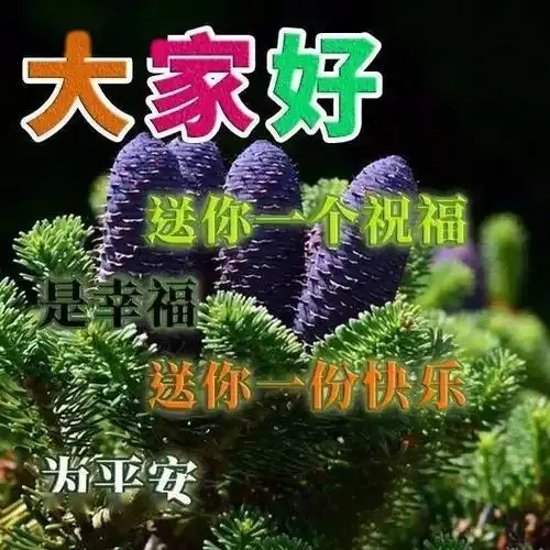 2021问候大家早上好动态图片带字,漂亮早上好问候祝福语精选