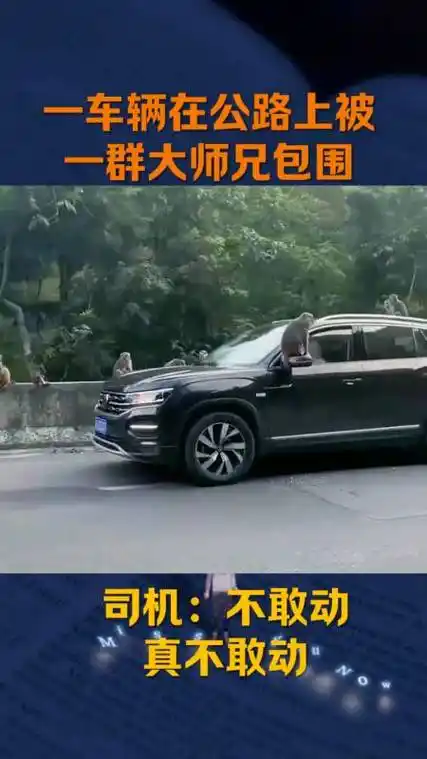 26万《新还珠格格》演员夫妻,尔康娶了小燕子,晴儿老公不输谢霆锋12.