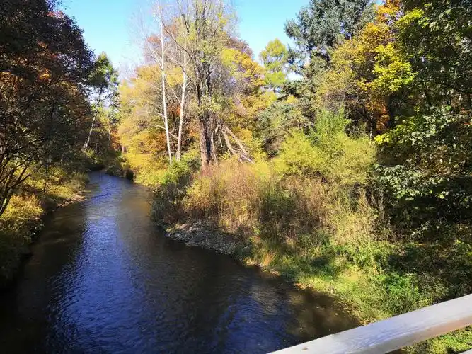 长白山原始森林