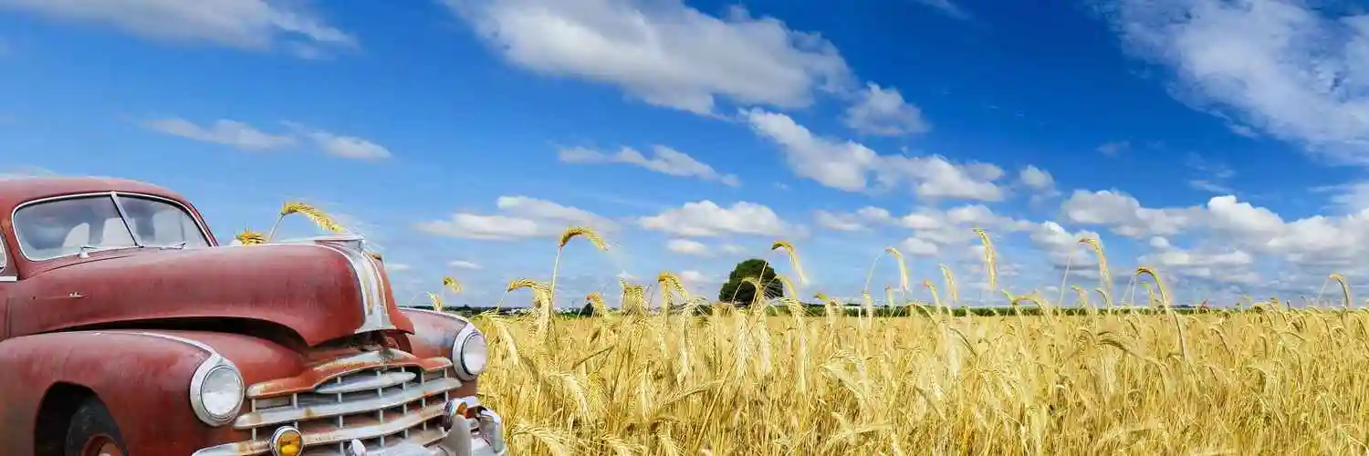 一望无际的金色麦田高清壁纸景色图片-风景壁纸 - 壁纸家