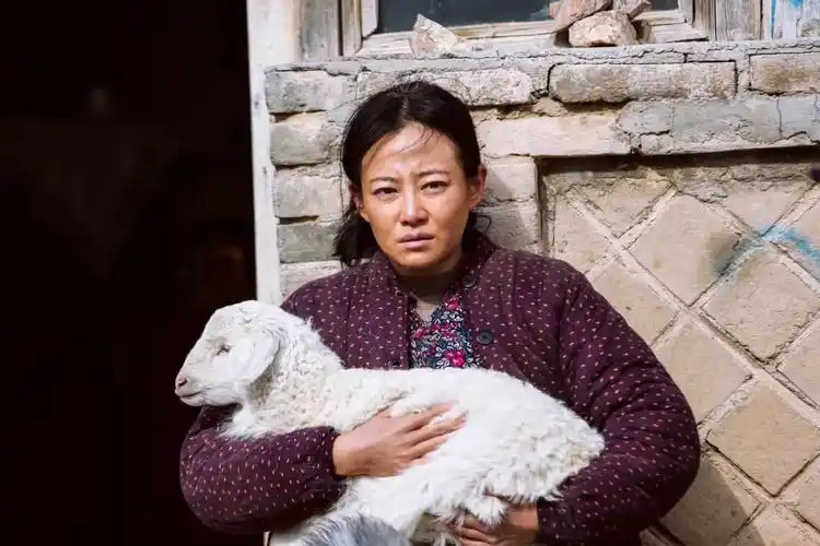 不具名演员的冒头流量的转型以及后来者的人设好演员