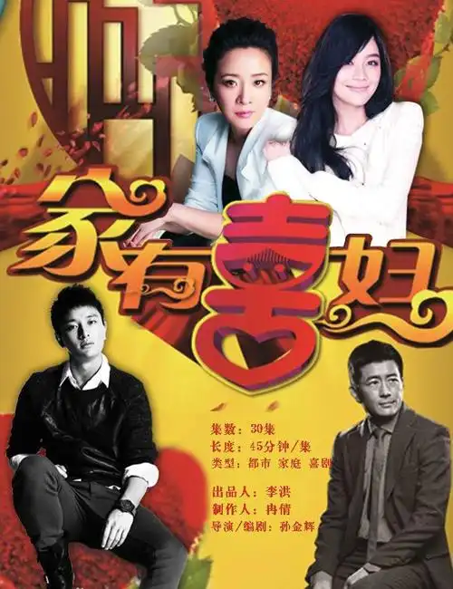 电视剧:《家有喜妇》集 数:30集类型:都市情感轻喜剧出品人:李洪制片