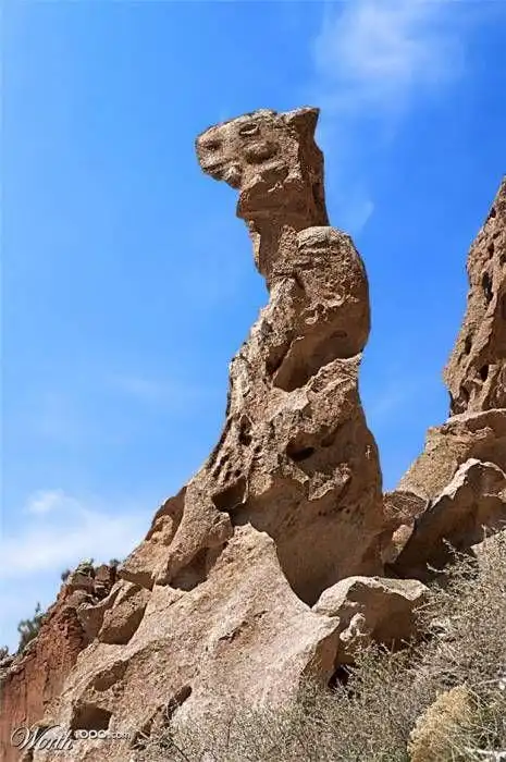 天下不可思议奇观精选(108图)