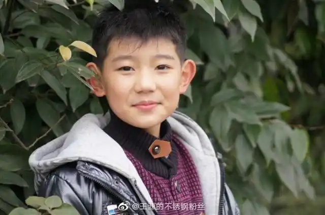 王源童年考古日记,奶呼呼的肥崽崽