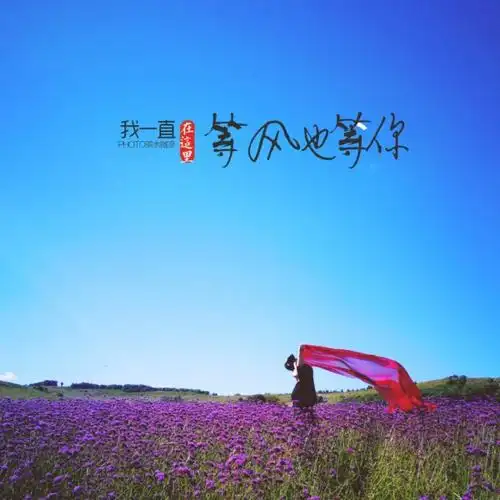 我在等风也在等你