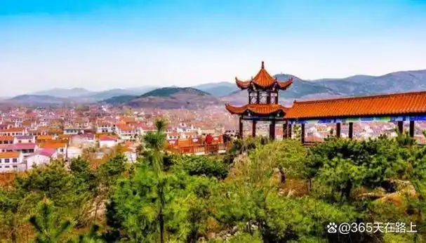 它就是隶属于山东省烟台市龙口市的南山村,南山村办企业南山集团是