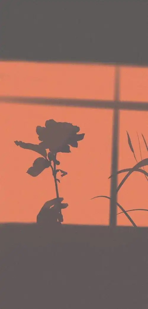 平铺壁纸渐变纯色/手绘壁纸/聊天背景/小清新ins/油画插画/锁屏壁纸